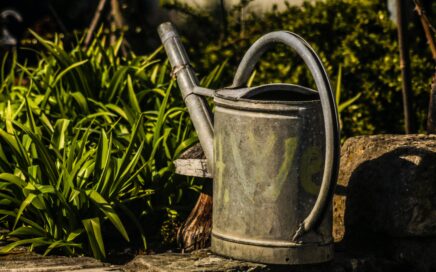 gray watering can on brown wooden log