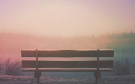 brown wooden bench in field