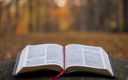 bible page on gray concrete surface