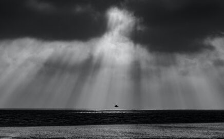 graysclae photography of calm body of water