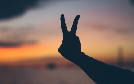 silhouette photography of right person's hand doing peace hand gesture