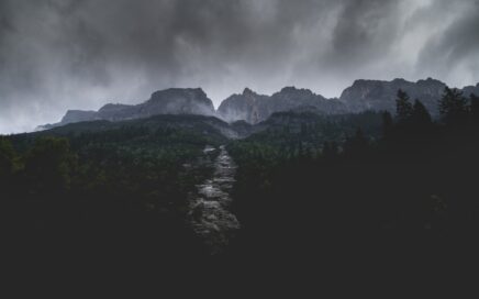 river between trees near mountain under gray clouds