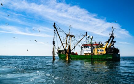 green and brown boat on sea under blue sky during daytime