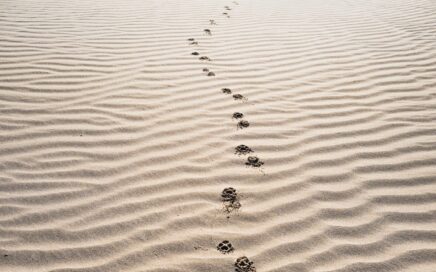 footprints on sand