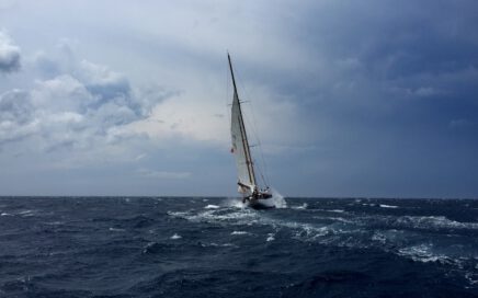 white sailboat on body of water