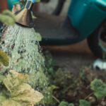 green and brown broom beside blue and black motorcycle
