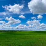 green grass field under blue sky and white clouds during daytime